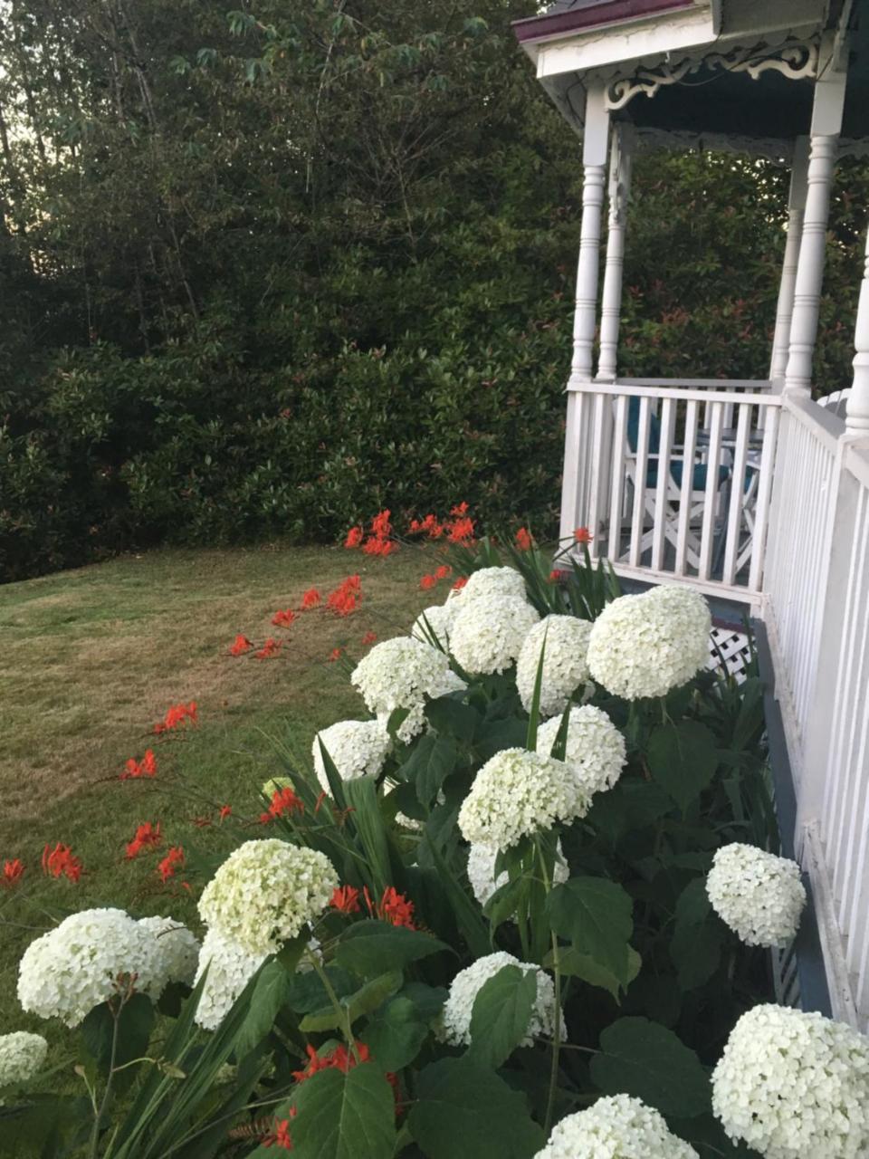 Tayberry Cottage Puyallup Bagian luar foto